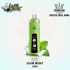 Gum Mint / 5mg