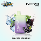 Blackcurrant Ice