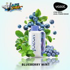 Blueberry Mint