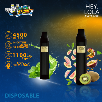 HEY LOLA 4500 PUFFS DISPOSABLE VAPE